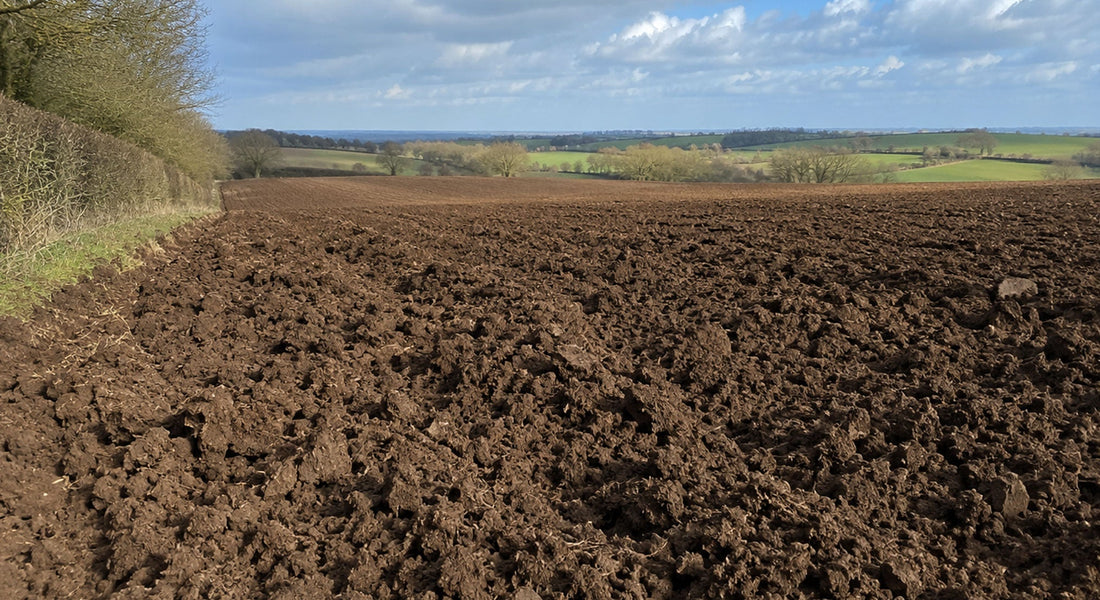 The microBIOMETER® and Soil Health Testing for UK Farms