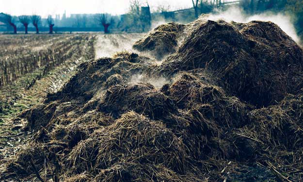 Solvita Basic Manure Test kit