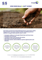 Sylgen  SlurryForSoil